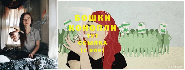 spice Богданович