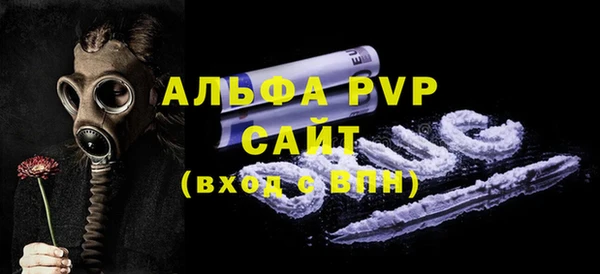 spice Богданович