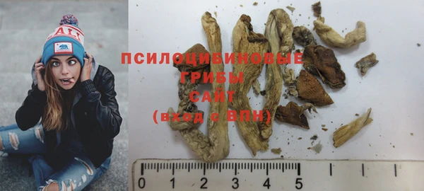 мет Бородино