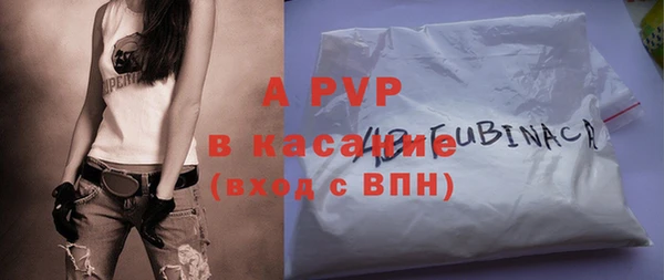 spice Богданович