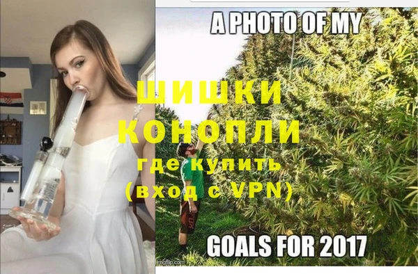 мет Бородино