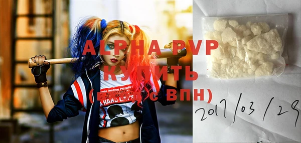spice Богданович