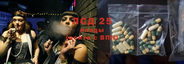 spice Богданович